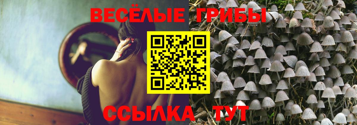 Псилоцибиновые грибы Magic Shrooms  Вход с VPN  Псилоцибиновые грибы Psilocybe  Алушта 