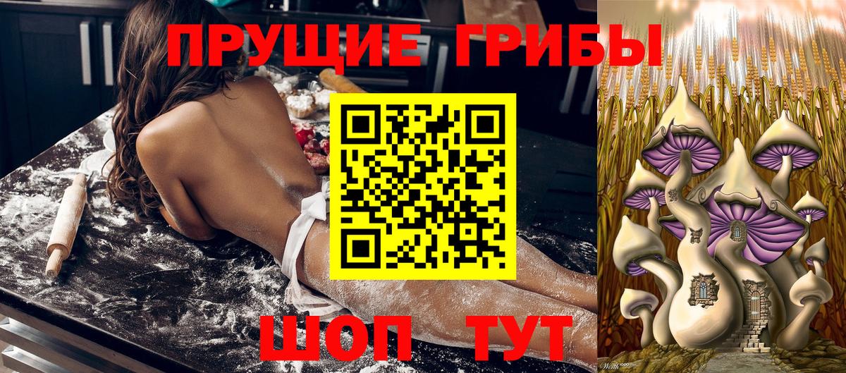 Галлюциногенные грибы Psilocybine cubensis Алушта